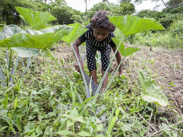 Fastenaktionssonntag