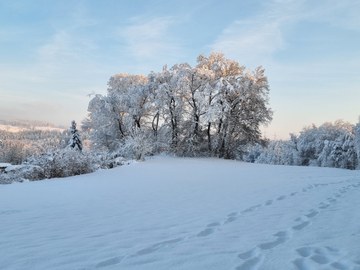 Gottesdienste zum Neujahr